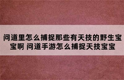 问道里怎么捕捉那些有天技的野生宝宝啊 问道手游怎么捕捉天技宝宝